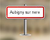 Diagnostiqueur immobilier Aubigny sur Nère