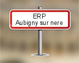 ERP à Aubigny sur Nère