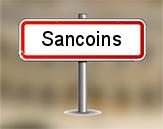 Diagnostiqueur Sancoins